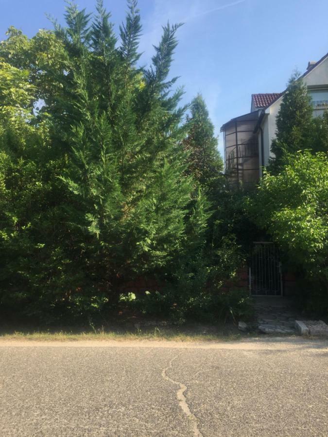 Apartman-Donau Tát Exterior foto